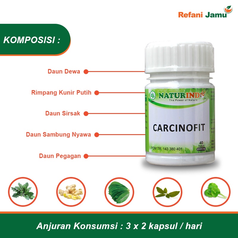 CARCINOFIT obat herbal Kanker dan tumor dengan gejala bengkak Benjolan dan nyeri serta luka basah-2