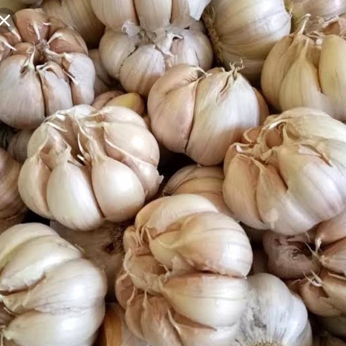 

bawang putih banci 1kg bawang bersih pilihan