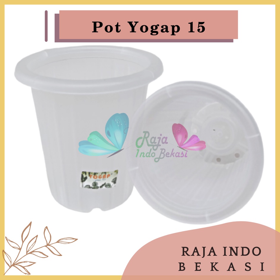 Pot Yogap 15 Transparan Bening Clear Diameter 17cm  Pot Tinggi Tebal Berkualitas Grosir Pot Yogap 10 13 15 17 18 Putih Transparan Bening Coklat Bata Murah