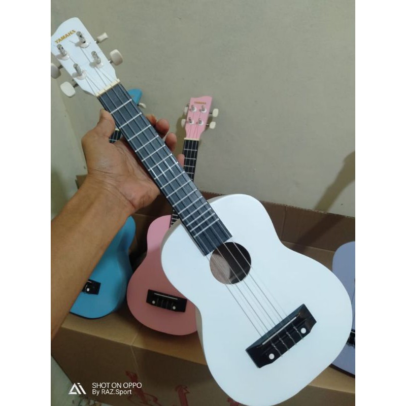 kentrung smile senar4/ukulele senar 3 dan senar4 paking aman dan BERGRANSI-PATAH