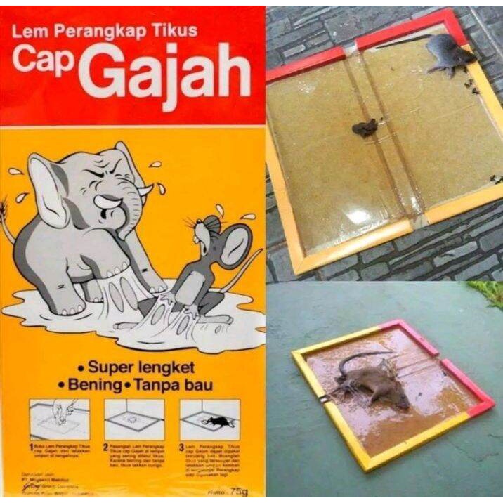 CAP GAJAH LEM PERANGKAP JEBAKAN TIKUS PEMBASMI TIKUS LALAT KECOA LEM ODOL PEREKAT TIKUS TIKUS PAPAN 