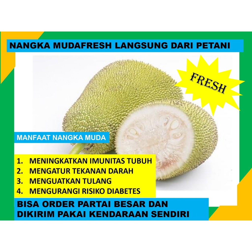 

Nangka Muda Fresh Box Langsung Dari Petani