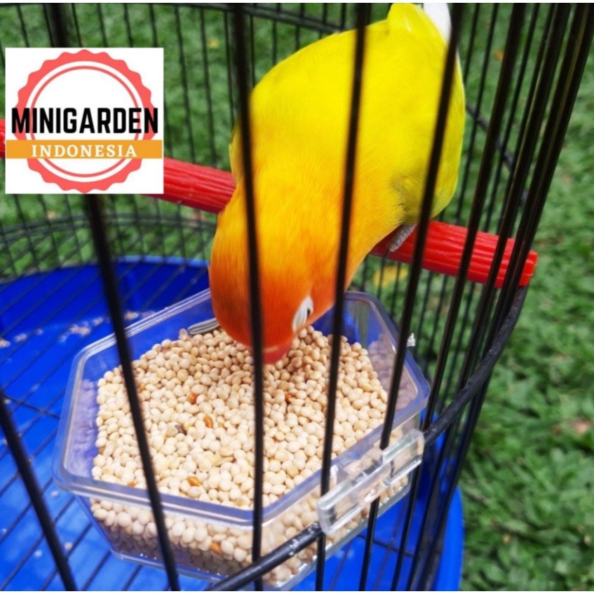 CEPUK AKRILIK 4 MODEL wadah tempat makan minum burung lovebird kenari