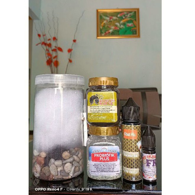 Paket Si Budi Ember FK + Obat Hiu FK