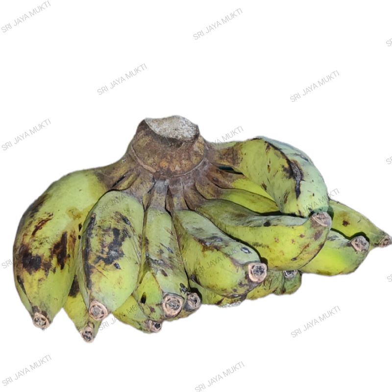 

Pisang Nangka