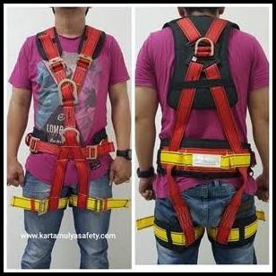 Full Body Harness Karam Pn 56