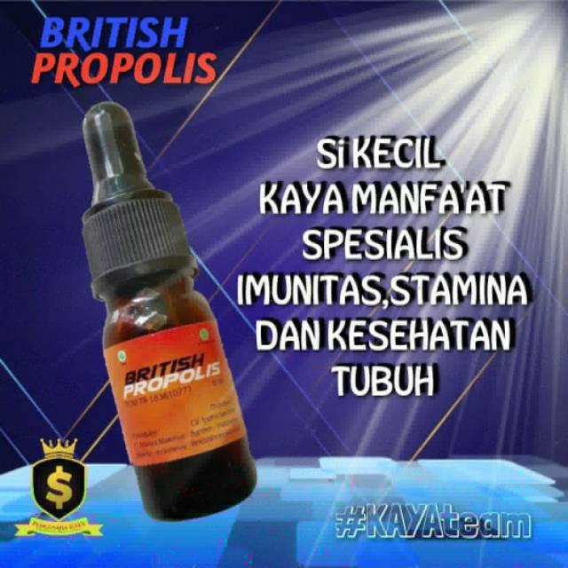 BP- (British Propolis) Menstabilkan Imun