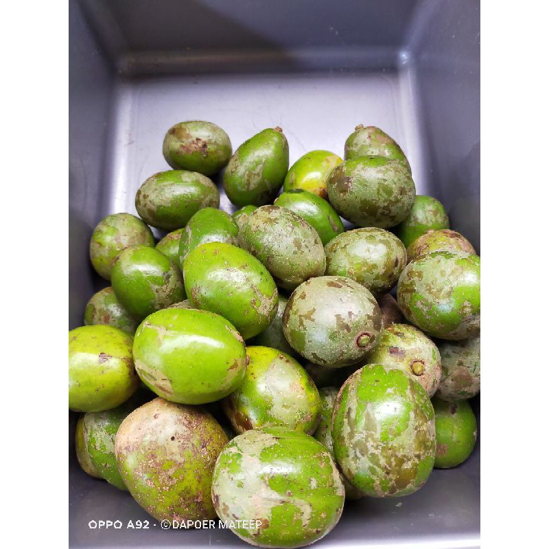 

KEDONDONG 1kg DAPOER MATEEP