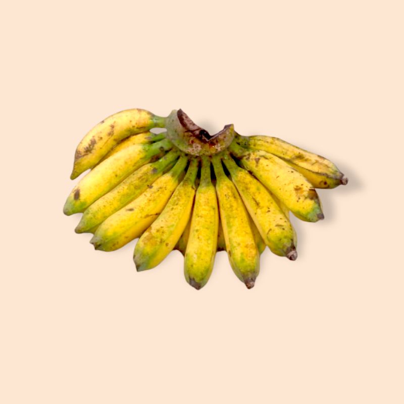 

PISANG RAJA/PISANG ASLI LUMAJANG/BUAH PISANG