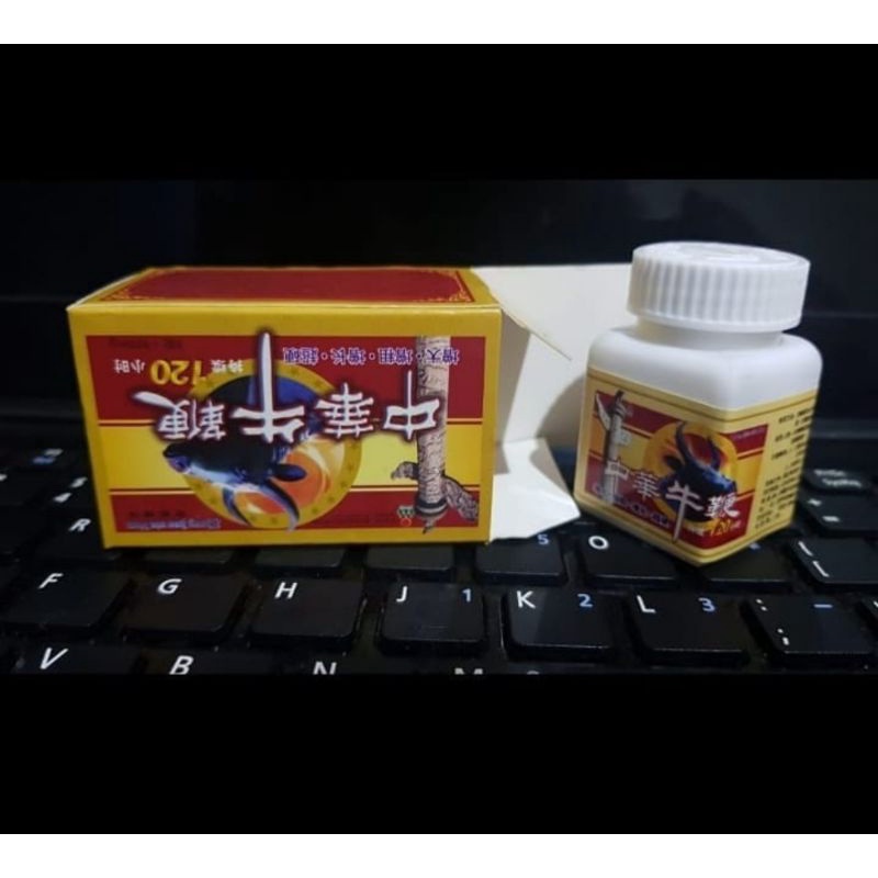 kebo niu bian obat herbal para lelaki