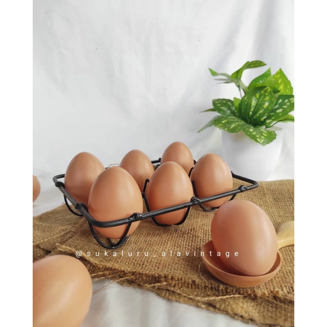 Telur Ayam Bebek Kampung Negeri Palsu Mainan Plastik Properti Foto