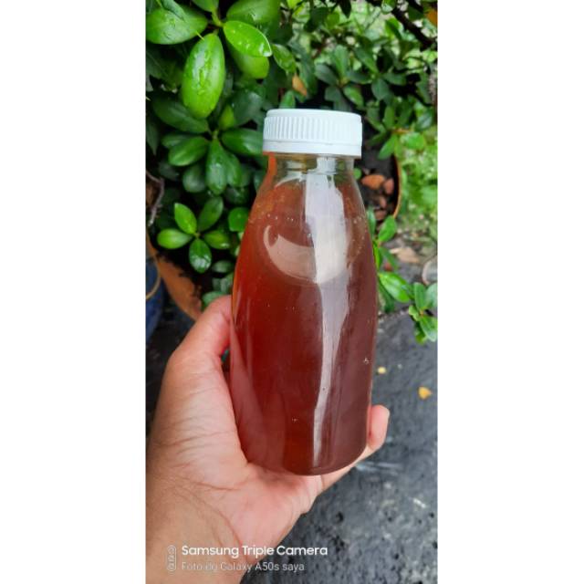 

Madu yaman sumroh 1 kg 100%asli murni yaman