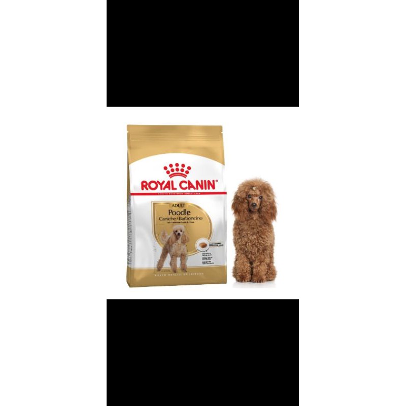 ROYAL CANIN ADULT POODLE 3KG DRY FOOD - DOG FOOD - MAKANAN / PELET KHUSUS ANJING RAS POODLE DEWASA