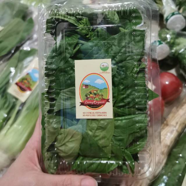 

Daun Basil Italian Organik 100gr || Sayuran Organik