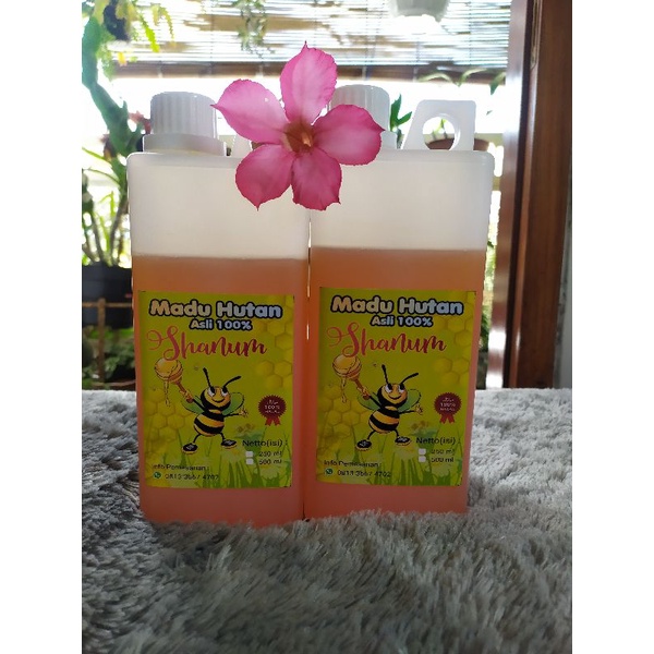 

Madu Hutan / Madu Gong murni asli 100%