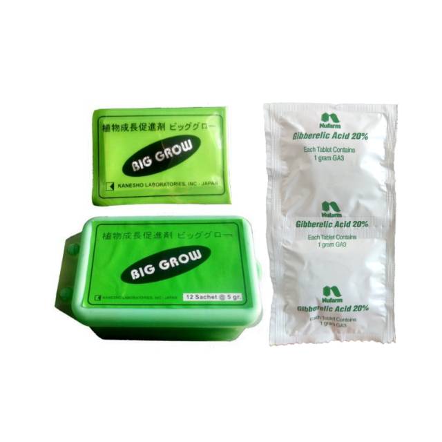 Biggrow GibGro Tablet - Paket Pembesar Naga