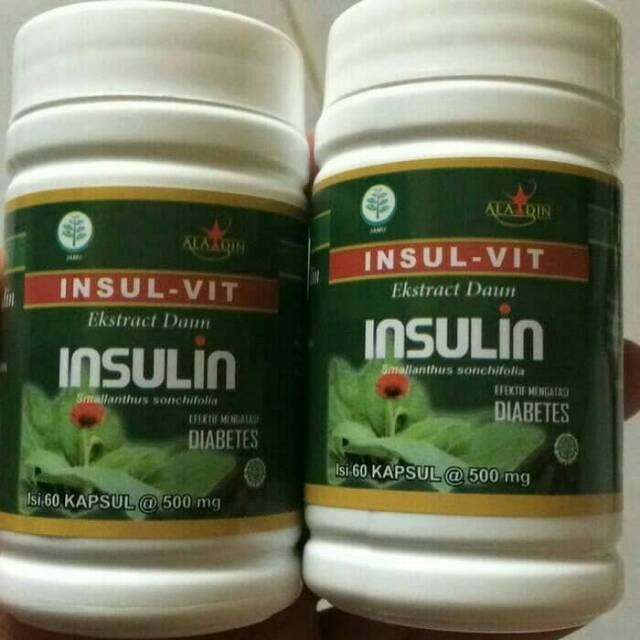 Obat Herbal Diabetes Kering