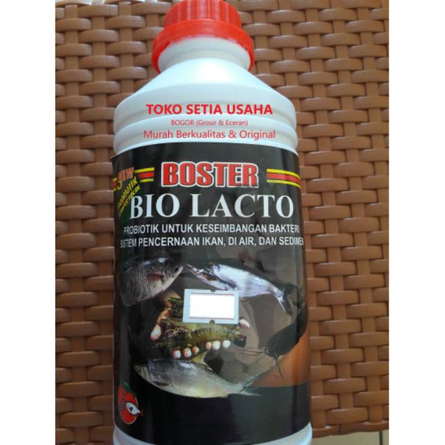 Bio Lacto #Probiotik #Bakteri #ikan #boster #Biolacto #murah #original #pencernaan #bestseller