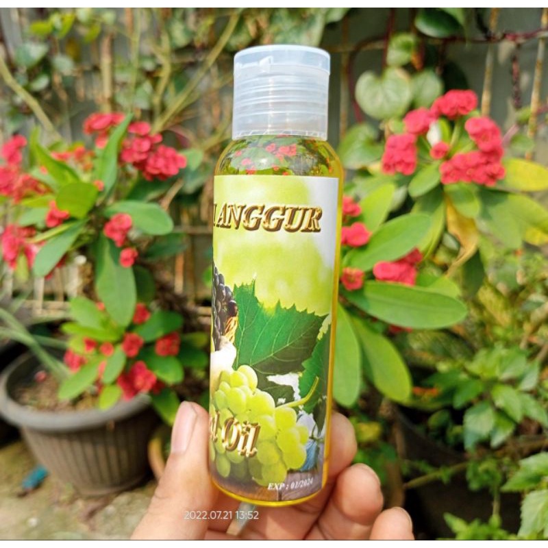 Minyak Biji Anggur/GrapeSeed OiL 100% murni