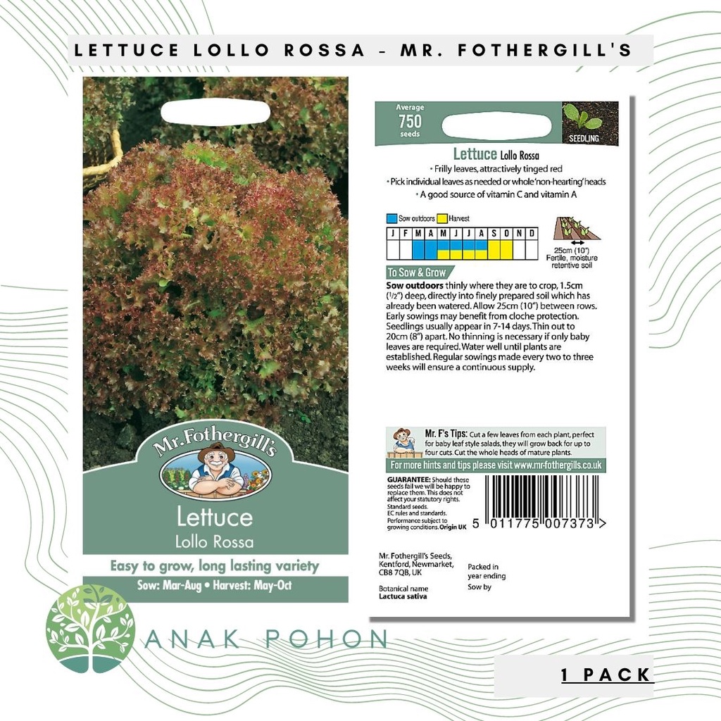 (1 PACK) Benih Selada Lettuce Lollo Rossa Seeds - Mr. Fothergill's - 750 Biji