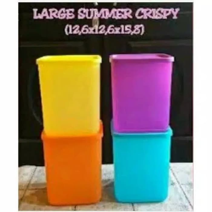 

LARGE SUMMER FRESH BIRU (1)