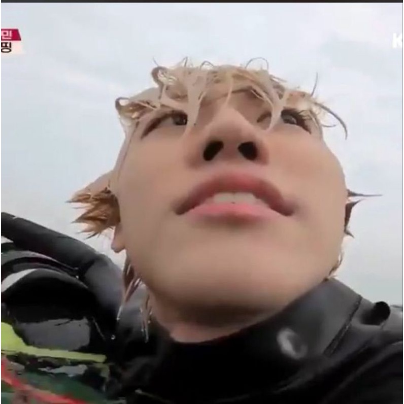 chenle terong ungu merona