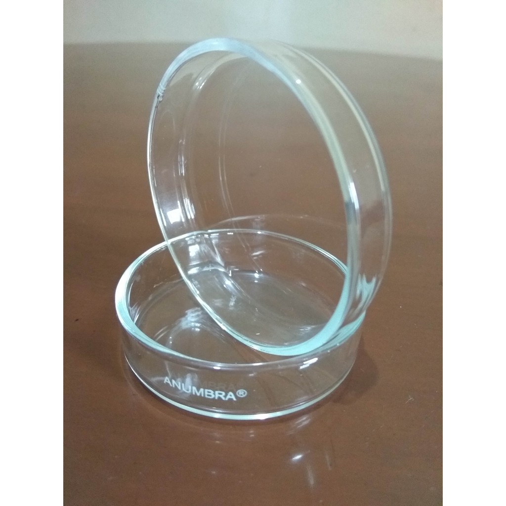Petridish Anumbra 100 x 15 Cawan Petri