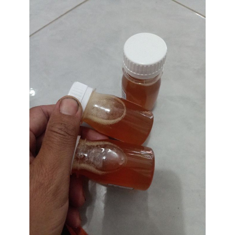 

madu kelulut teuweul murni 50 gram