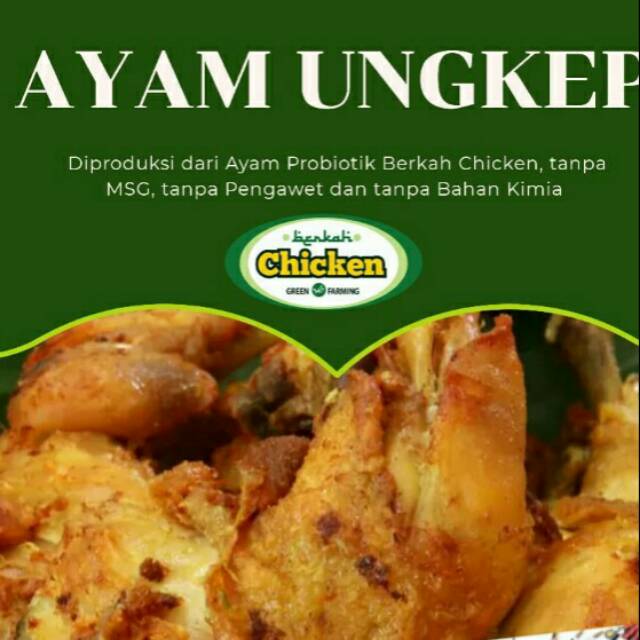 

AYAM UNGKEP ORGANIK