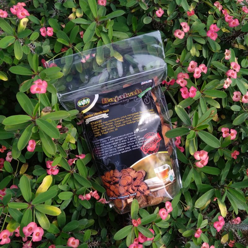 

500gr BAJAKAH TAMPALA SUPER