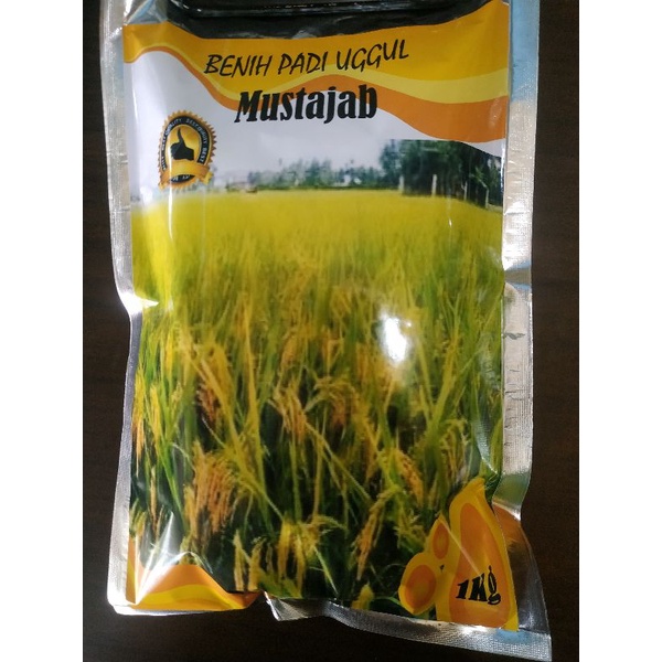 Benih padi Mustajab premium 1 kg