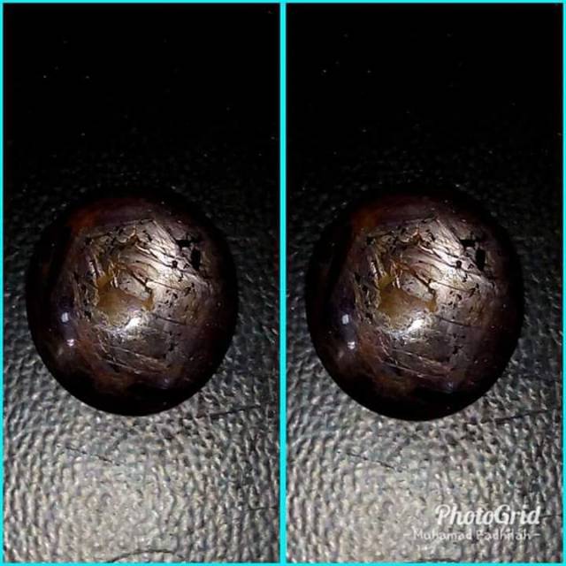 [COD] NATURAL BLACK STAR SHPPIRE GONDOLA