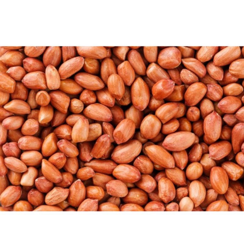 

KACANG TANAH FRESH 250 Gram