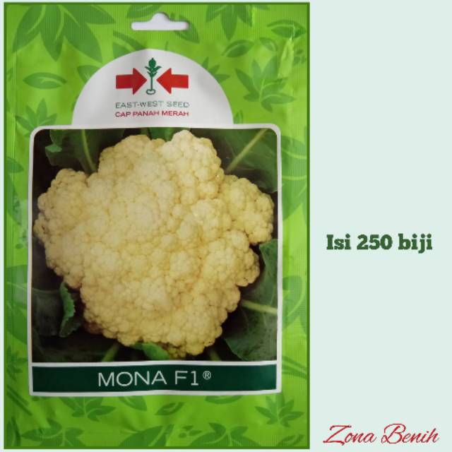 Bibit Benih Bunga Kol MONA F1 [isi 250 biji]