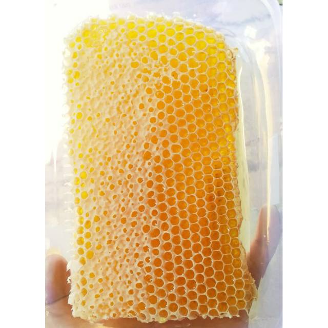 

Madu sarang asli non sintetis /madu kesehatan/ madu murni/ madu asli
