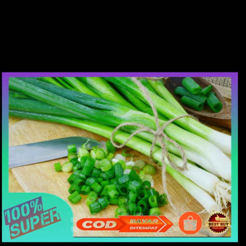 

bawang daun segar/bawang daun super/ter termuyus