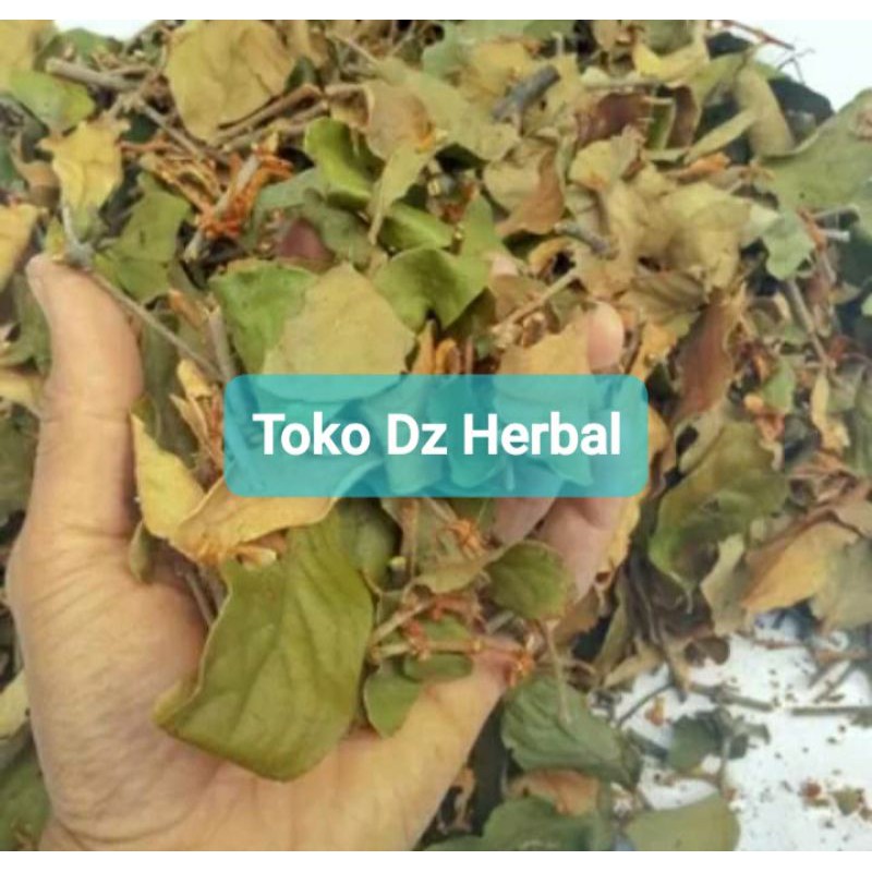 

Paket 1 kg benalu kopi kering asli-az