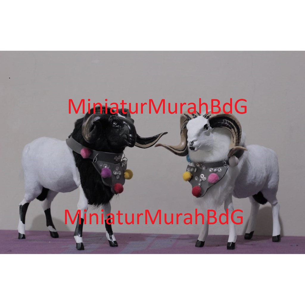 Miniatur Domba