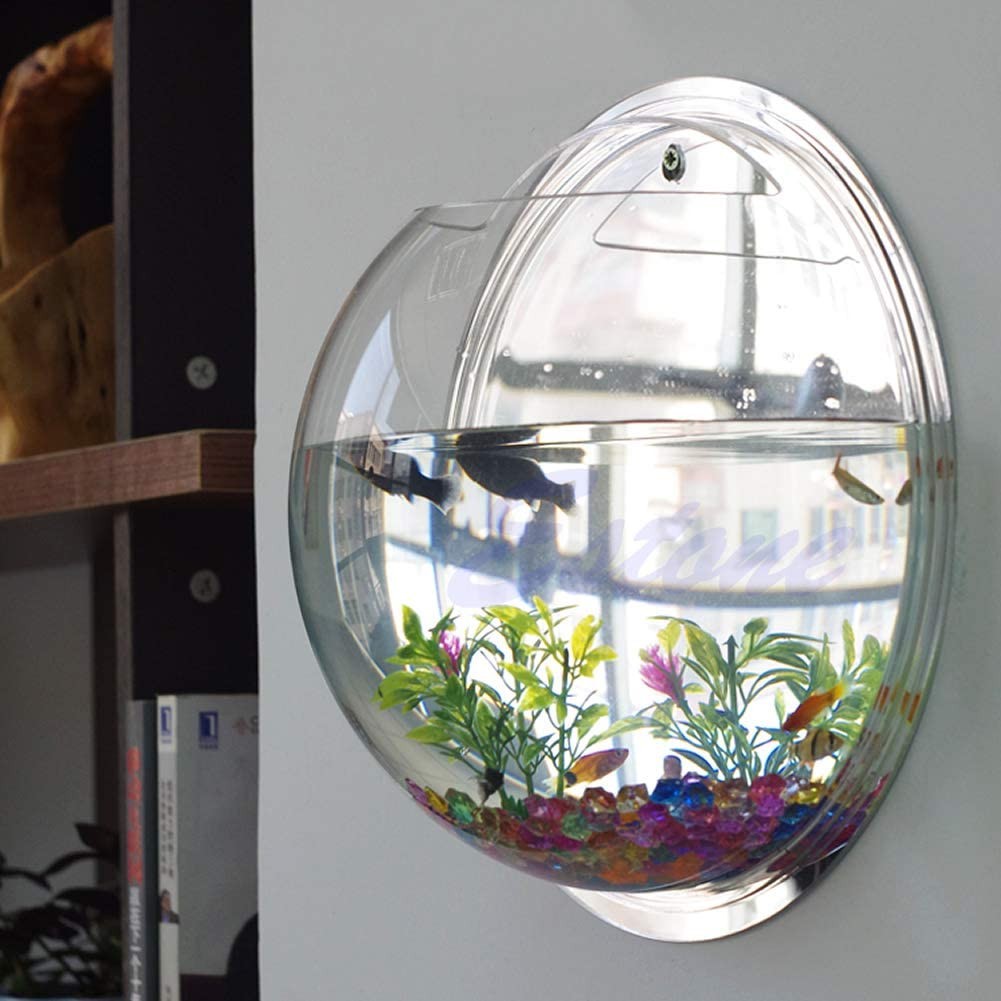 Aquarium Gantung Bulat Dinding Tempel Tembok Hanging Soliter Solitair Shopee Indonesia Aquarium tempel di tembok