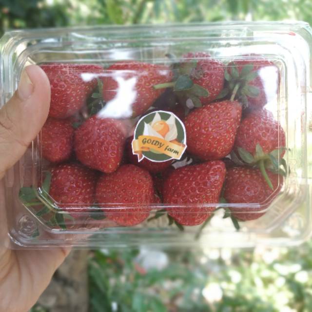 

Fresh Strawberry 250 gr - Ready to eat