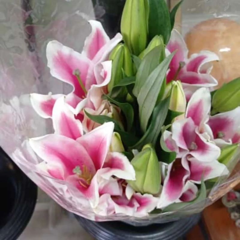 bunga lily bunga potong isi 5 tangkai