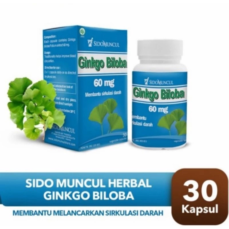 Jual Sido Muncul Ginkgo Biloba 30 Capsul ~ Daya Ingat Konsentrasi ...