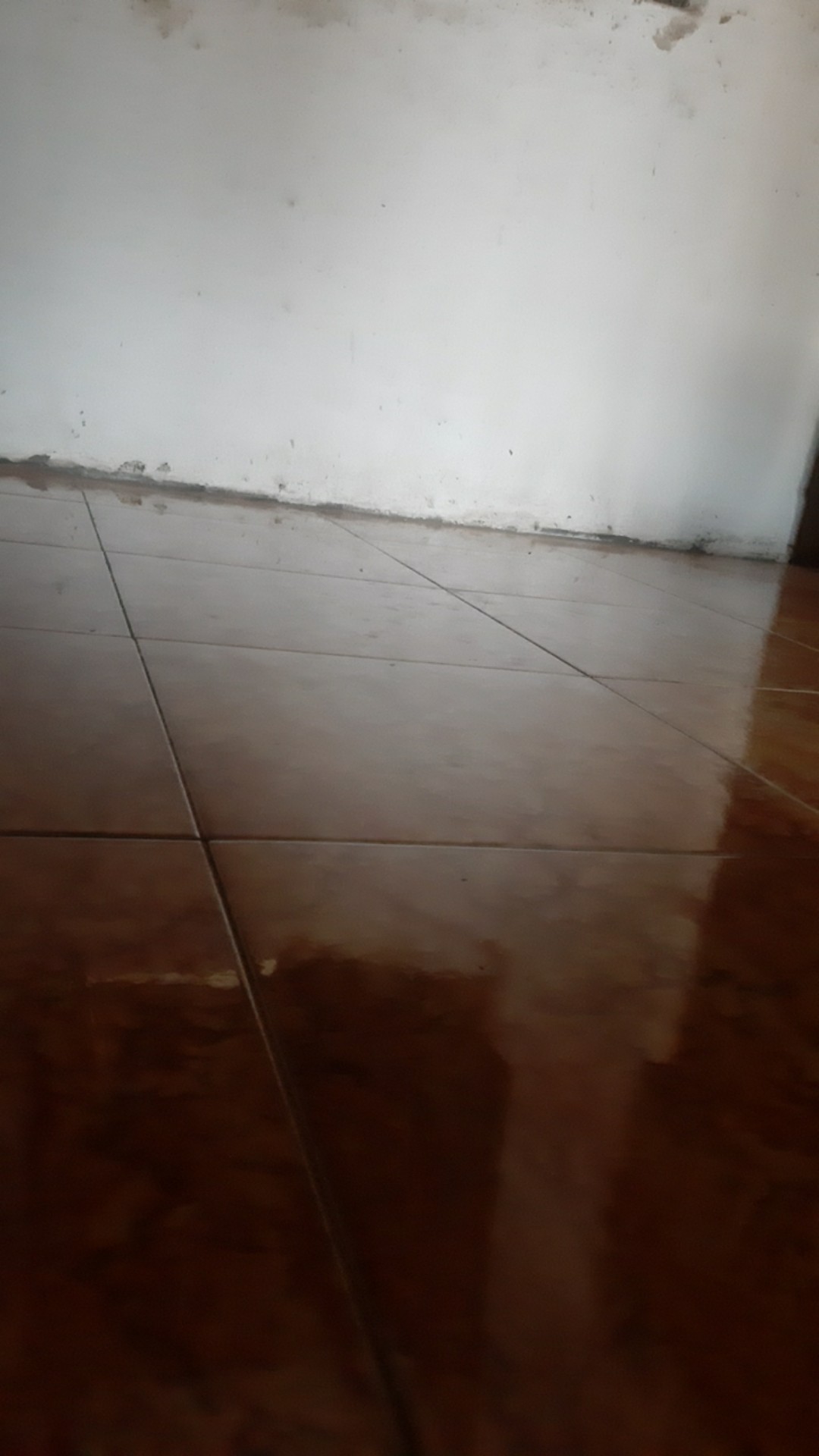 Jaring Ayam Lebar 1,2 Meter Jaring Pagar Ayam - Jaring Kandang Burung Jaring Pagar Tanaman