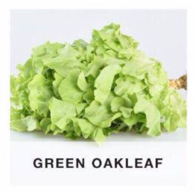 

Green Oakleaf