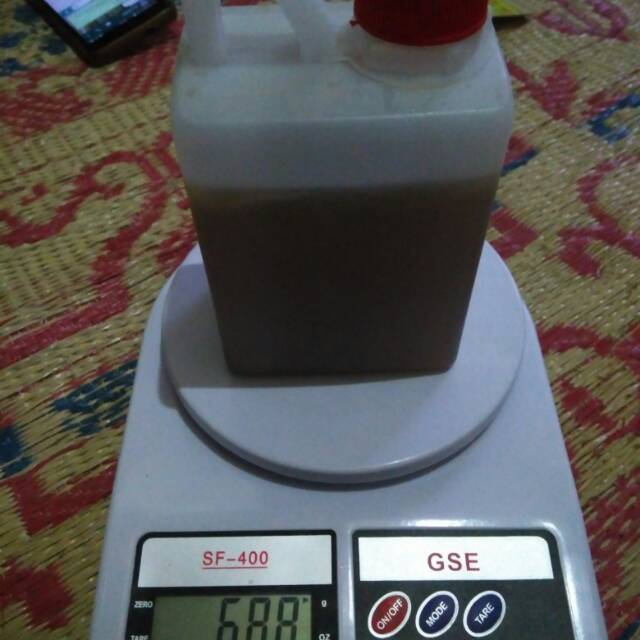 

Madu Tawon Murni