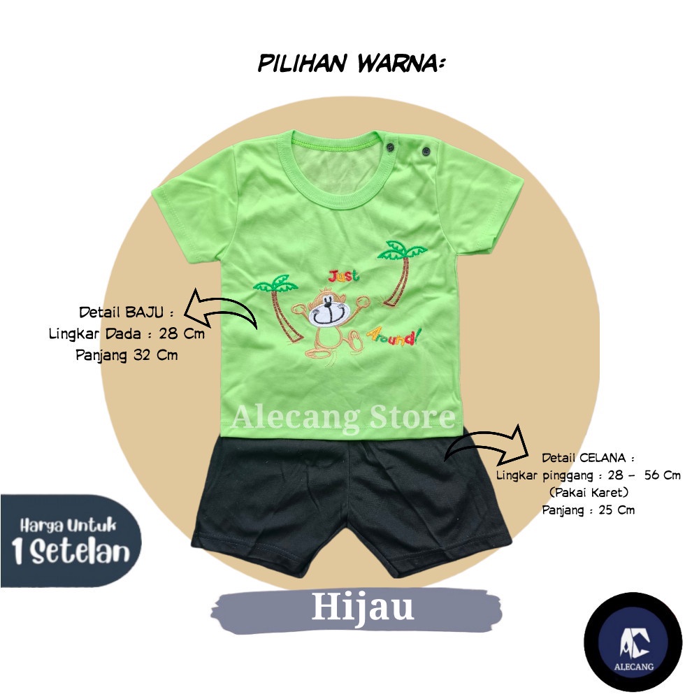 Setelan Pendek Baju Bayi Laki-laki size 6 - 12 Bulan Merk EDRYCA