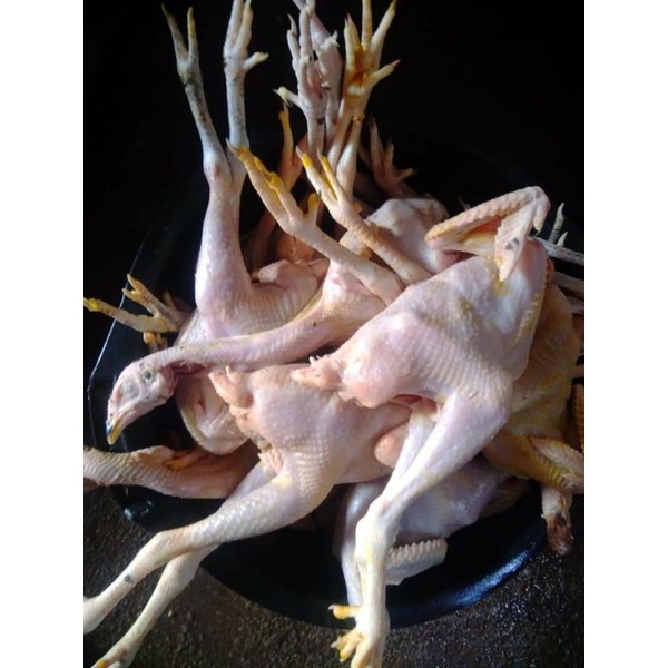 AYAM KAMPUNG ASLI POTONG