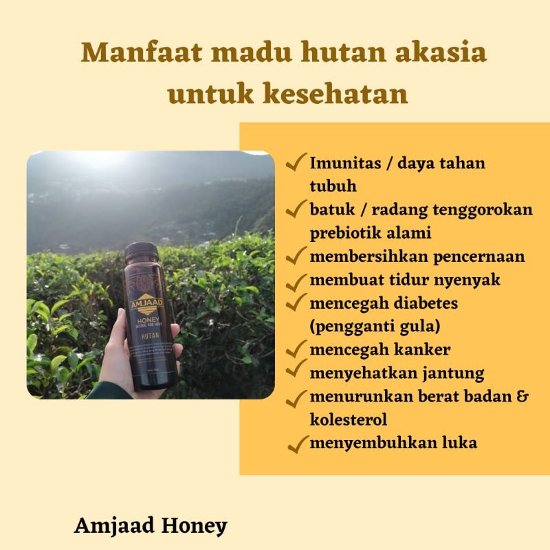 

madu murni hutan akasia 350gr