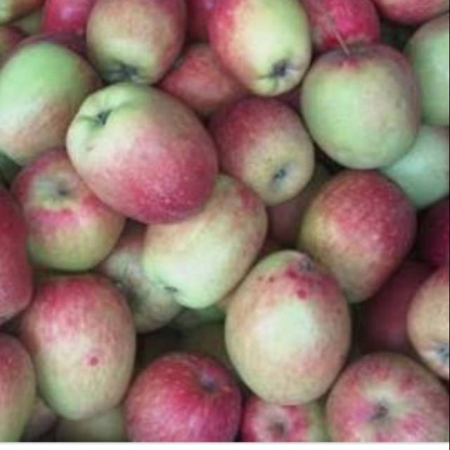 

Apel malang Ana 1 kg