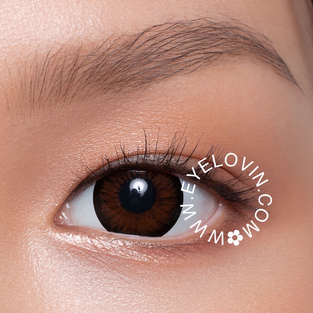 EYELOVIN Softlens Mite Clair - Royal Almond Brown